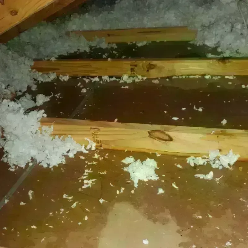 Attic Water Damage in Henryville, IN